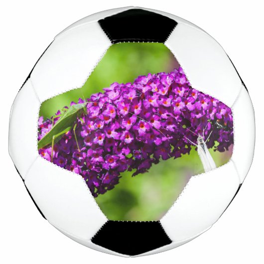 katydid energy voetbal (Voorkant)