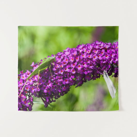 katydid energy wandkleed (Voorkant (horizontaal))