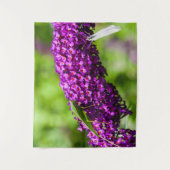 katydid energy wandkleed (Voorkant)