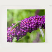 katydid energy wandkleed (Voorkant (horizontaal))