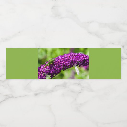 katydid energy waterfles etiket (Enkel label)