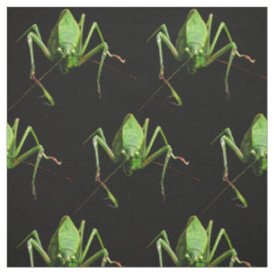 Katydid Fabric Stof