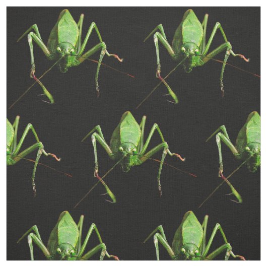 Katydid Fabric Stof (Swatch)