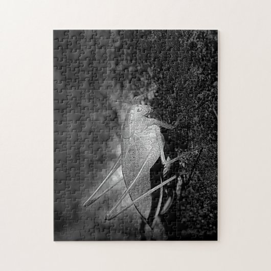 Katydid Grasshopper in zwarte en witte Natuur Legpuzzel (Verticaal)