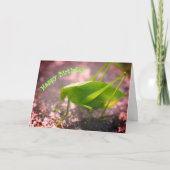 Katydid Grasshopper Natuur Birthday Kaart (Voorkant)