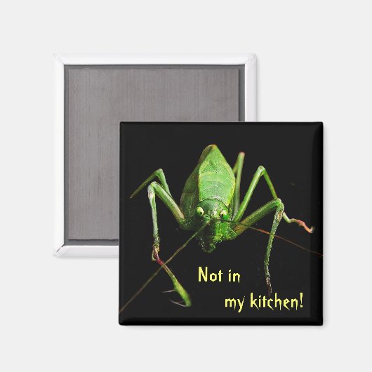 Katydid in de keuken magneet (Voorkant / Achterkant)
