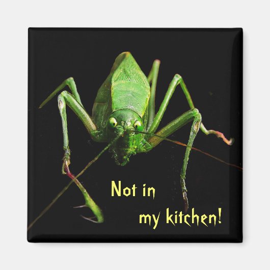 Katydid in de keuken magneet (Voorkant)
