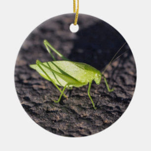 Katydid Keramisch Ornament