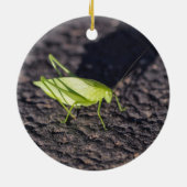 Katydid Keramisch Ornament (Achterkant)