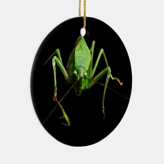 Katydid Keramisch Ornament (Rechts)