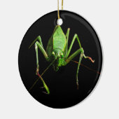 Katydid Keramisch Ornament (Links)