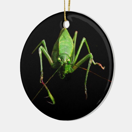 Katydid Keramisch Ornament (Links)