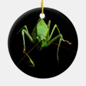 Katydid Keramisch Ornament (Achterkant)