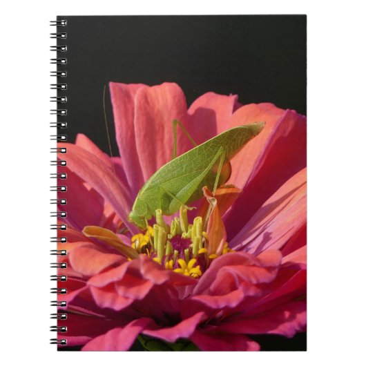 Katydid op Zinnia Notitieboek (Voorkant)