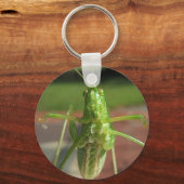 Katydid ~ sleutelhanger (Voorkant)