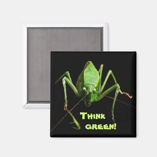Katydid Think Green Magneet (Voorkant / Achterkant)