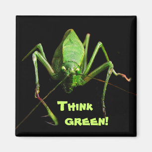 Katydid Think Green Magneet