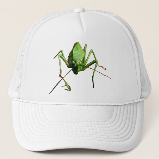 Katydid Trucker Pet (Voorkant)