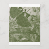 Katydids Briefkaart (Voorkant)