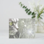 Katz Briefkaart (Staand voorkant)