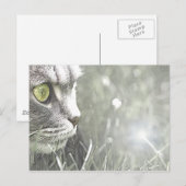 Katz Briefkaart (Voorkant / Achterkant)