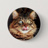 katz ronde button 5,7 cm (Voorkant)