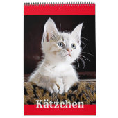 KÄTZCHEN KATZEN WELPEN - Kalender (Hoes)