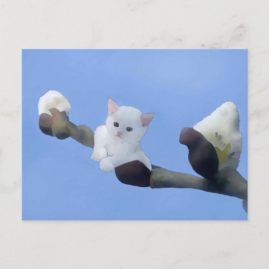 Kätzchenfrühling Briefkaart (Voorkant)