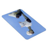 Kätzchenfrühling Magneet (Rechterzijde)