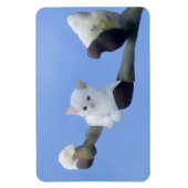 Kätzchenfrühling Magneet (Verticaal)
