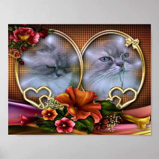 Katze2 für Lilo Poster (Voorkant)