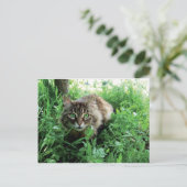 Katze Briefkaart (Staand voorkant)