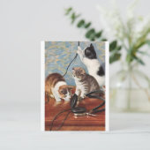 Katze  briefkaart (Staand voorkant)