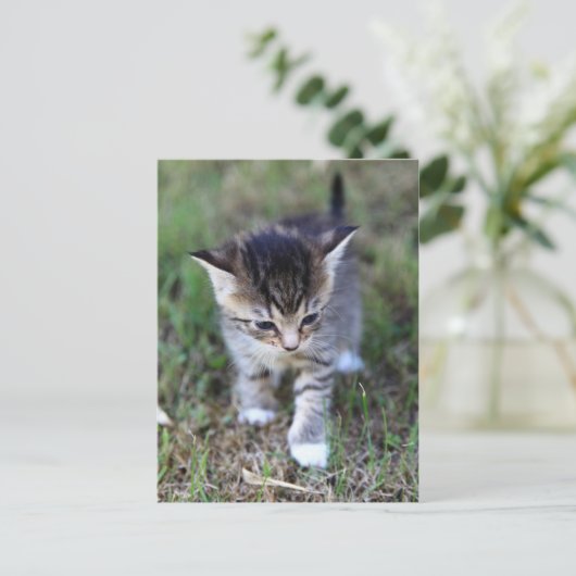 Katze Briefkaart (Staand voorkant)