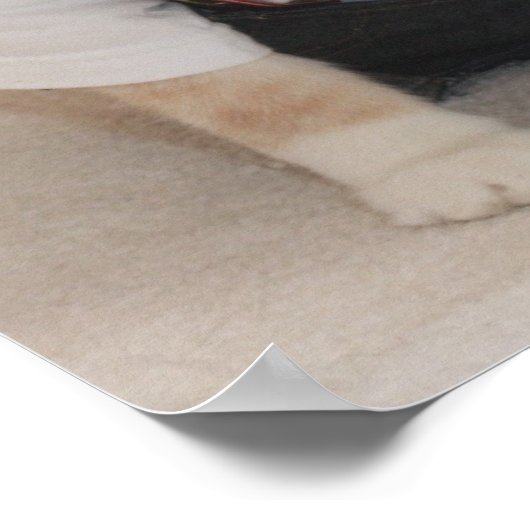 KATZE/CAT Funny German Cat Poster (Hoek)