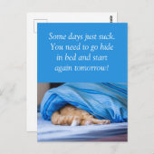 Katze rot Bett versteckt Some days suck Briefkaart (Voorkant / Achterkant)