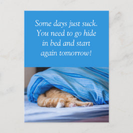 Katze rot Bett versteckt Some days suck Briefkaart