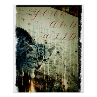Katzen Poster - Young and Wild