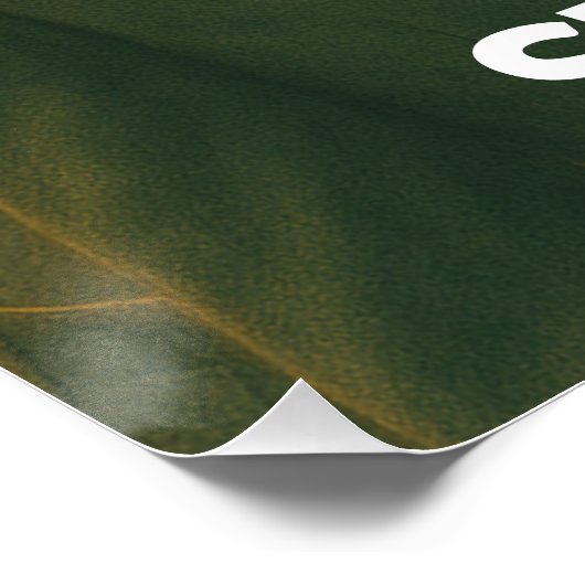 Katzen Zahlen Keine Steuern Perfect Poster (Hoek)