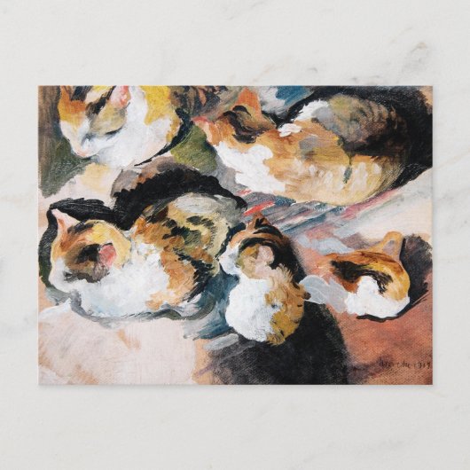 Katzenstudien (Studie van een kat) 1909 Feestdagenkaart (Voorkant)