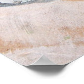 Katzenstudien (Studie van een kat) 1909 Poster (Hoek)