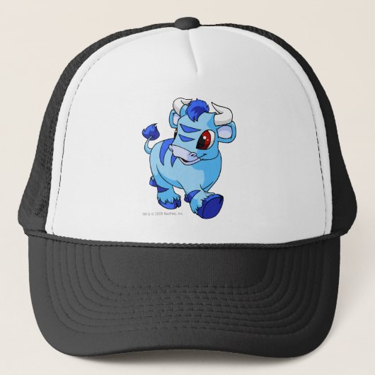 Kau Blue Trucker Pet (Voorkant)