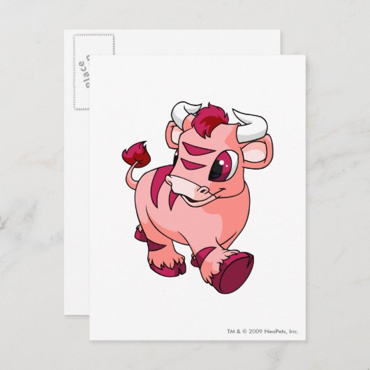 Kau Pink Briefkaart (Voorkant / Achterkant)