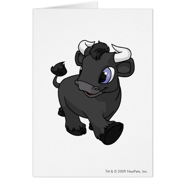 Kau Shadow (Voorkant)