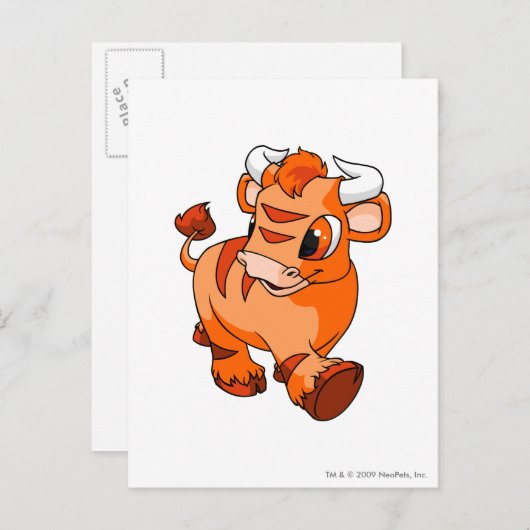 Kau Sinaasappel Briefkaart (Voorkant / Achterkant)