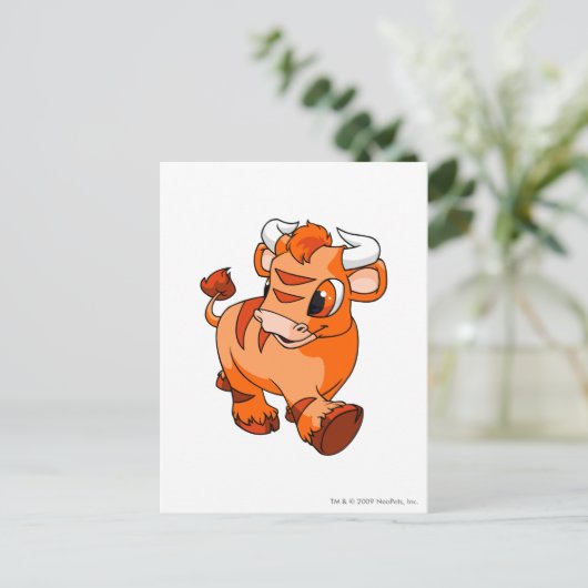 Kau Sinaasappel Briefkaart (Staand voorkant)