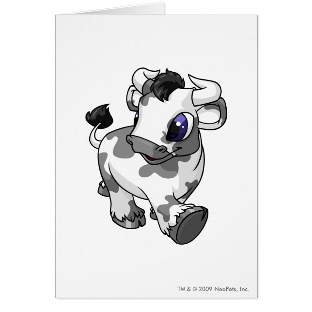 Kau Spotted (Voorkant)