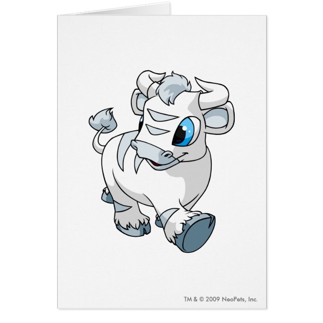 Kau White (Voorkant)