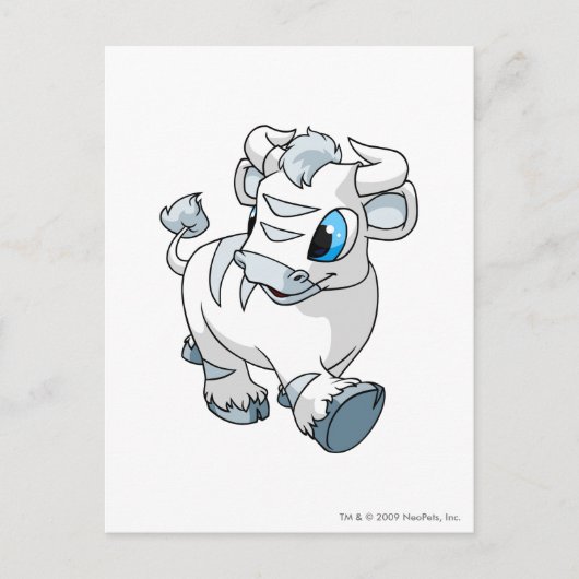 Kau White Briefkaart (Voorkant)