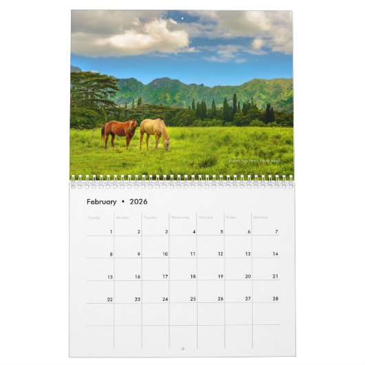 Kaua"i, Afbeeldingen van het Paradijs, Schilderach Kalender (Feb 2026)